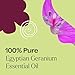 Plant Therapy Egyptian Geranium Essential Oil 100% Pure, Undiluted, Natural Aromatherapy, Therapeutic Grade 10 mL (1/3 oz)