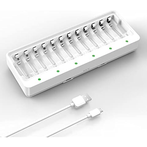 Dlyfull 12 Bay AA AAA Battery Charger, USB and Type-C Selectable High-Speeding Charging for Ni-MH Ni-CD Rechargeable Batteries, USB Cable Included Cover
