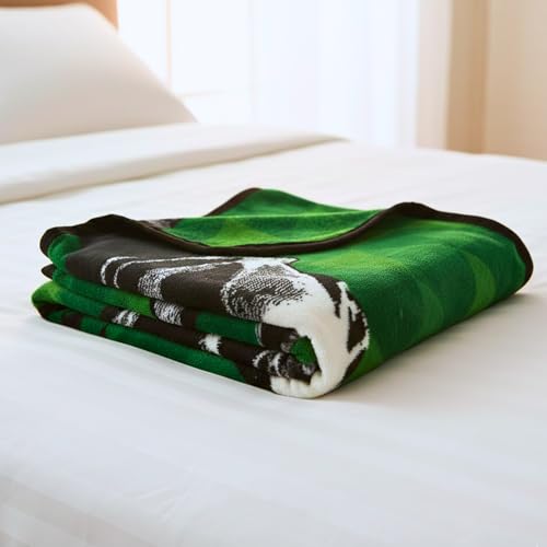 Image of Franco Legend of Zelda Hero Link Throw Blanket Video Game-Green Hyrule,Soft Cozy Decorative Blanket-Couch, Bed or GamingRoom(100% Officially Licensed Product) Collectibles,46 in x 60 in (Pack of 6)