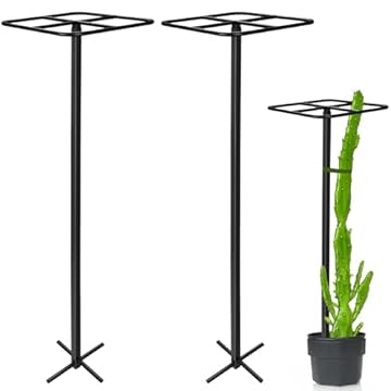 best dragon fruit trellis