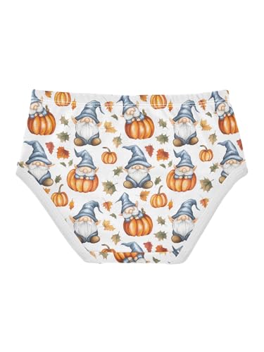 ZZKKO Blue Gnomes Orange Pumpkins Girls Underwear Toddler Panties for Girls Comfort Brief Size 2T2