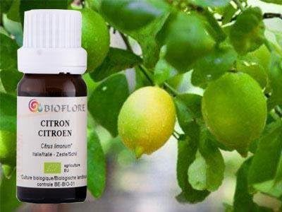 disintossicazione per marijuana 1 giorno