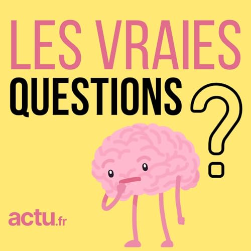 Les vraies questions par actu.fr cover art