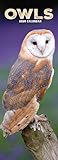 Owls Slim Calendar 2026 Bird Slimline Calendar - 12 Month