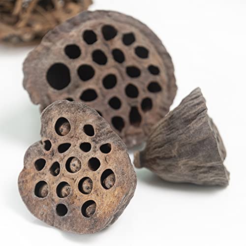 Andaluca NTRLTONES Natural Tones Vase & Bowl Fillers thumb #7