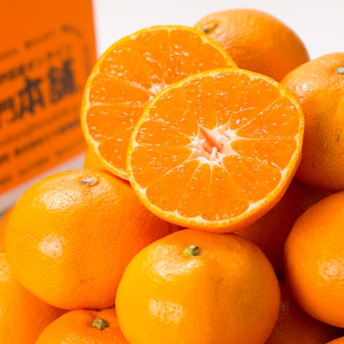 紀伊国屋文左衛門本舗 [2026年先行予約] ブランド有田みかん 秀品 約2.8kg [サイズおまかせ] 薄皮で甘い美味しい和歌山県産 みかん