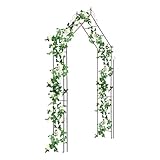 Arco de jardín para plantas trepadoras, 115 x 35 x 215 cm, soporte para plantas de metal, para guisantes, uvas y rosas