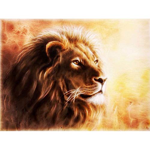 Bimkole DIY 5D Diamond Painting Zubehör Löwe, Tiere Kunstmalerei Diamant Malerei Kit Voll Runde Bohrer Malen nach Zahlen Malerei Stickerei Kreuzstich Diamond Dekoration,(30x40 cm) Cover