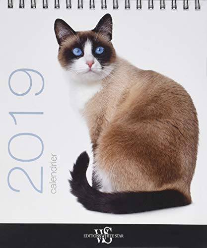 Télécharger Calendrier de table 2019 Chats Francais PDF