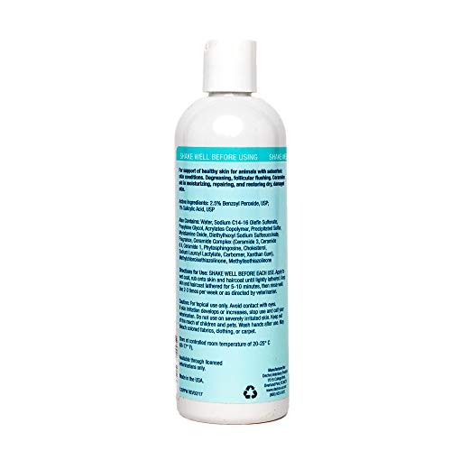 Dechra Dermabenss Shampoo For Dogs, Cats & Horses (12Oz) - Gentle, Soap-Free, Antiseborrheic And Antimicrobial (1810011) #TOP1