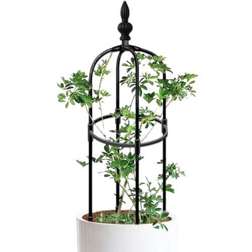 Enrejado de obelisco de jardín, Enrejado de jardín Redondo a Prueba de Herrumbre de 3 pies de Alto, Planta trepadora de Bricolaje, Planta fácil de Montar para macetas, Plantas trepadoras de Interior