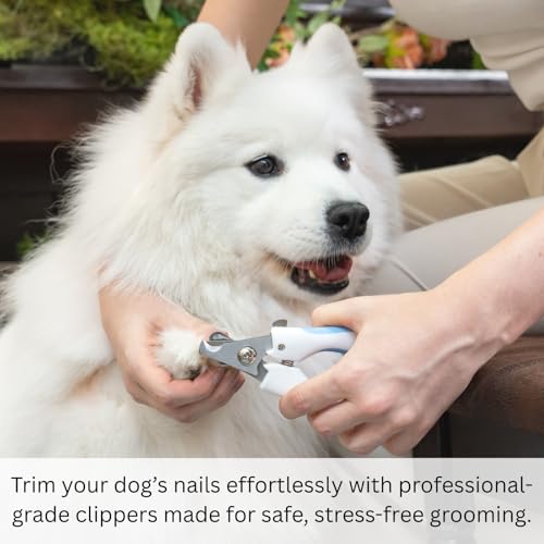 Image of AIXINPET Dog & Cat Nail Clippers and Trimmers - with Free Nail File, Protective Guard to Avoid Over Cutting, Extra Sharp Blade - Suitable for Small to Large Dogs, Puppies, Birds and Rabbits (Large)