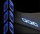 Generic TRUE LINE Automotive - Carbon Fiber Reflective Door Fender Flare Marker Trim Molding 6PC (Outer Blue)