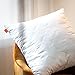 sleepling extra pralles Kopfkissen 80x80 cm, Allergiker Bett Kissen, Polster, Bettkissen, Schlafkissen 80 x 80 cm, Pillow, Füllung Polyester, Waschbar, Made in EU, Oeko-TEX