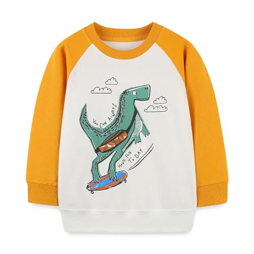 Boys Sweatshirts Long Sleeve Sweatshirts T-shirts Crew Neck Cotton Casual Sweatshirts Cartoon Tops for Boys-85