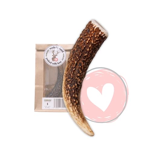FOURLEGS® natürlicher Kausnack für Hunde aus 100% Hirschgeweih - Mineralstoffe, Kauspielzeug, Kaustange, Wildgeschmack, Geweih, Knochen, Hirsch, Kauartikel - Größe S ganz