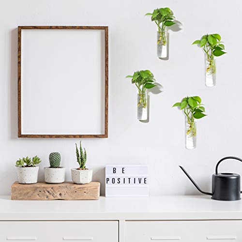 Vumdua Glas-Pflanzgefäße, transparent, 15 x 4,7 cm (HxD), geeignet für die meisten Wasserpflanzen, perfekt für Anzuchtstation… – Ansicht 3
