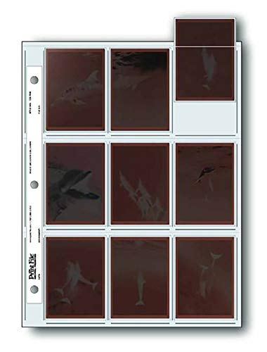 Print File 120lKtB 25_Zbg 6x7cm̃lKtB9_ WJ[h 2 1/2 x 3 1/2C`̍zTCY18_[\