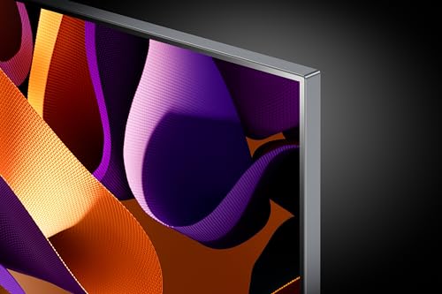 LG 65 inch OLED evo G4 TV