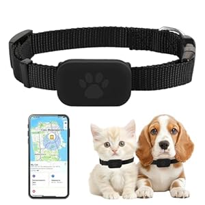 Fliti GPS Tracker Katze Schwarz