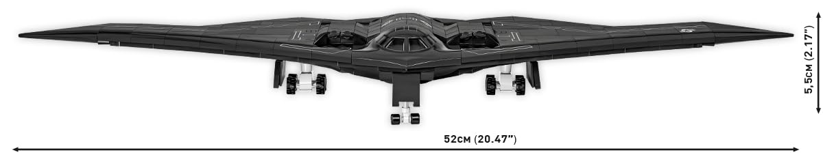 Northrop Grumman B-2 Spirit, Schwarz
