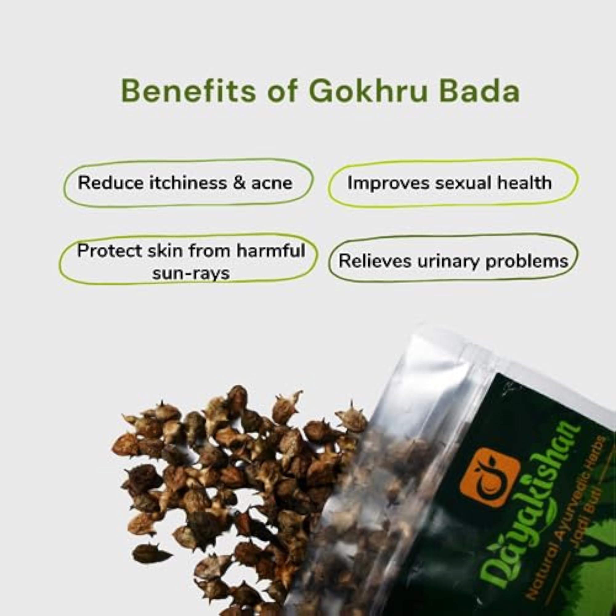 Gokhru Bada Whole, Raw Pedalium Murex Seeds
