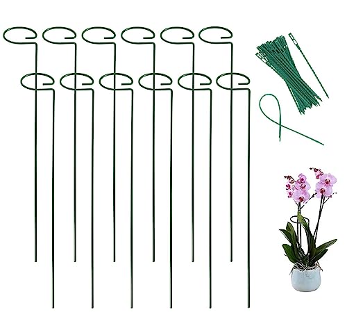 y12ZbgzAx Ԏx |x 鐫A ϗtx U x 40cm/45cm/60cm AT|[g t[X^h t[x K[fjO _Ɨp |poht20{