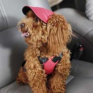   Ipetboom-Dog-Baseball-Hat-Size-S-Red-Oxford-Cloth-and-Canvas-Sun-Protection-Adjustable-Chin-Strap