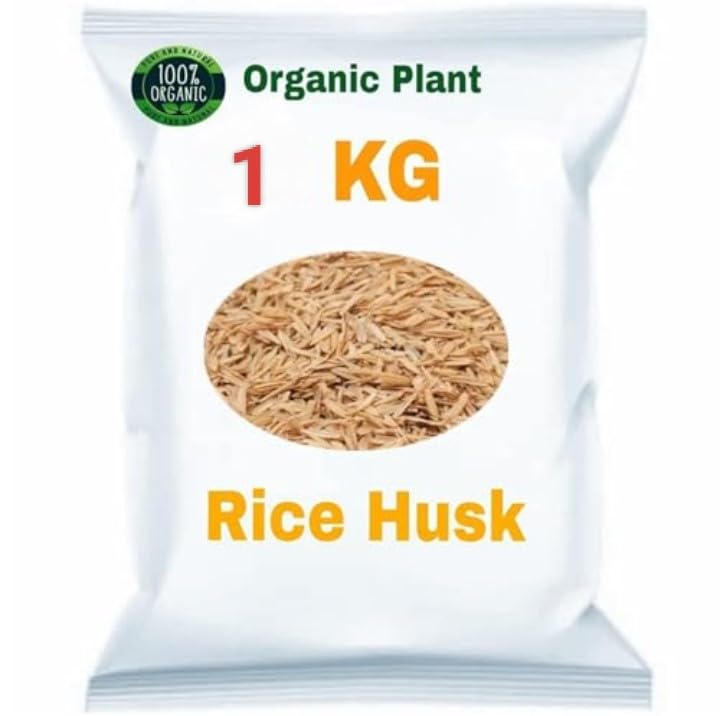 Organic Plant Rice Husk, 1 KG Bag for Gardening (B0DHLLBNDX) Amazon Price History, Amazon Price Tracker