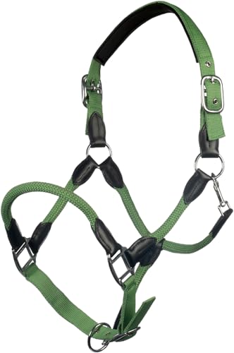 Licol Jade Pur-sang HKM Carlotta pour cheval pur-sang ajusté