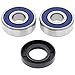 All Balls Racing 25-1309 Front Wheel Bearing Kit Compatible with/Replacement for Suzuki GSX 250 F 1991-1997, TU 250 X 1997-2001