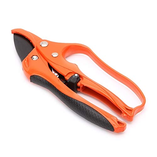 Tijeras de podar, Podadera tijeras de podar frutales trinquete cortarramas cortador envío 1pc Herramienta for el jardín (Color : Orange)