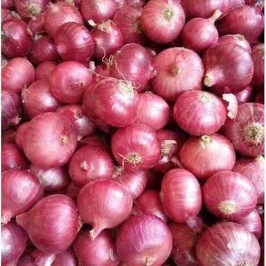 Ritz Farming� Imported vegetable Onion N-53 F1 Hybrid seeds For Your Home & kitchen Garden (Pack Of 70-80 Seeds) (B0BNR1PD99) Amazon Price History, Amazon Price Tracker