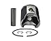 Asaki Piston Kit Compatible with Ski-Doo MX Z 800 (HO) Snowmobile 09-778 420889457 Std with Ring