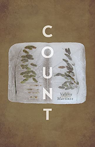 Count view 2