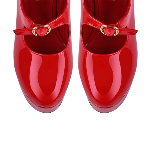 Women's Platform High Heels Side Zipper Adjustable Buckles Block Heel Pumps Shoes2