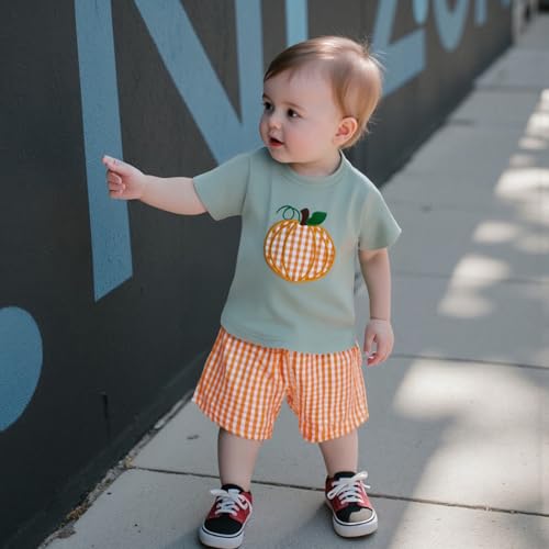 Toddler Boy Halloween Outfit Pumpkin Embroidery Short Sleeve Shirt Plaid Shorts Toddler Boy Halloween Clothes 2T 3T 4T2