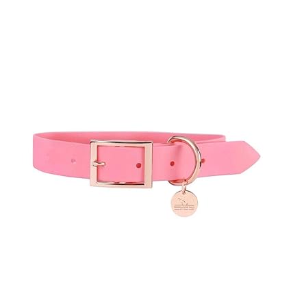 Heads Up for Tails Pastel Pawprint Rain Friendly Dog Collar - Pink - L