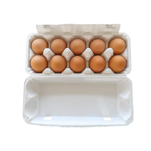 WOOGCSGO Cajas de cartón para huevos, 10 unidades, 20 hueveras, cajas de 10 huevos con tapa, 20 unidades por paquete, biodegradables para huevos, color blanco