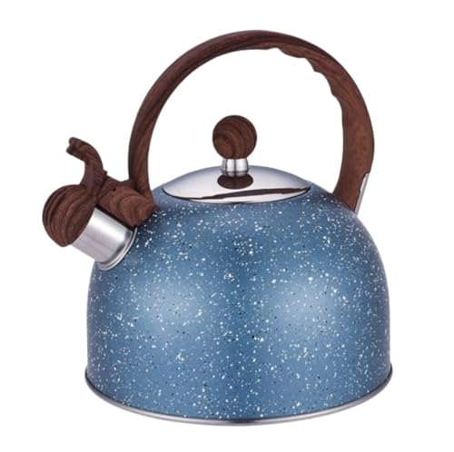 Bouilloire pour cuisinière idéale pour le thé du matin en famille