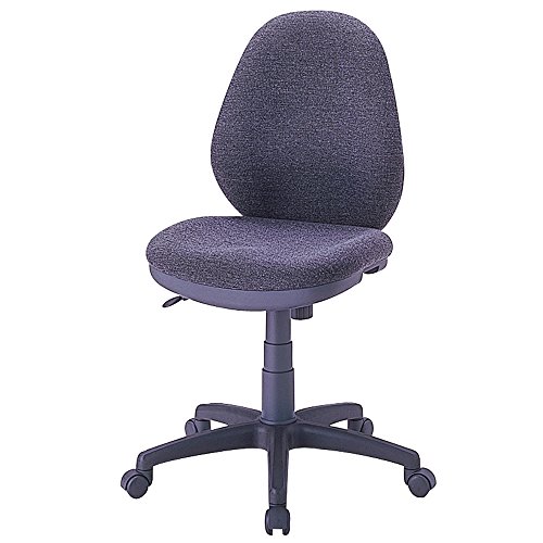 CGN-301N [�O���[]