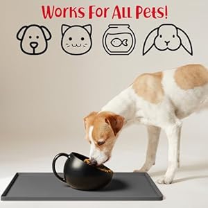 DogBuddy Dog Food Mat – Waterproof Dog Bowl Mat for Food and Water, Silicone Pet Feeding Mats for Floors, Non-Slip Placemat with High Edges for Dogs Bowls, Puppy Essentials (L: 24" x 16", Shadow) DogBuddy Dog Food Mat–Waterproof Dog Bowl Mat for Food and Water Silicone Pet Feeding Mats for Floors Non Slip Placemat with High Edges for Dogs Bowls Puppy Essentials L 24 x 16 Shadow