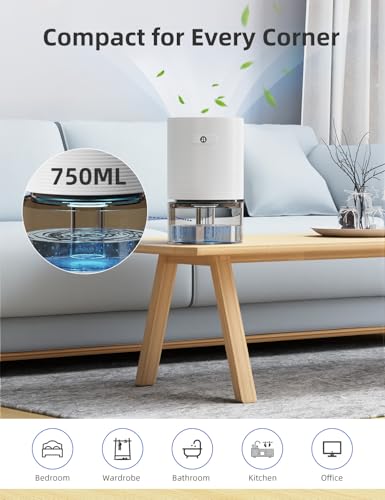 Image of avylo 25oz Dehumidifier for Bedroom with Auto Shut Off, Ultra Quiet, White | Global Recycled Standard, 285 Sq.Ft Small Dehumidifiers for Home Bathroom Closet, 7 Color Light, 25OZ Water Tank