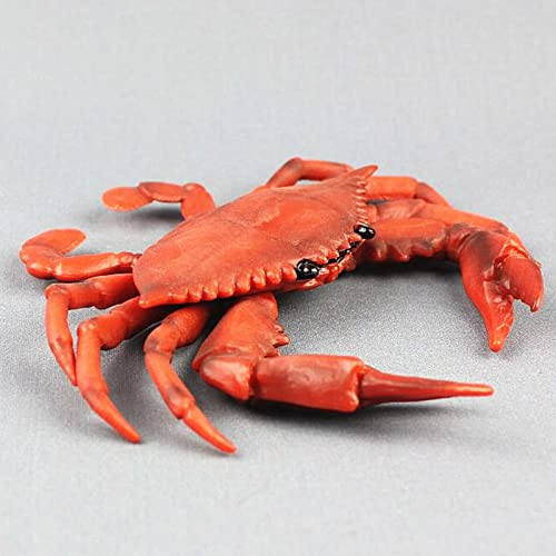 2Pcs Artificial Realistic Crab Toy - Educational Learning Ocean Life Toys Plastic Crab Seafood Toys - Red Crab Decor Animal Planet Sea Toys Ocean - Bath Toys Sea Creatures - Crab Plastic Toy #TOP6