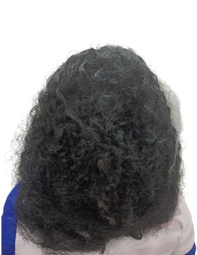 Image of BookMyCostume Indira Gandhi Wig for Girls and Women Fancy Dress Costume Accessory - Black /Grey