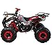 X-PRO 125cc ATV 4 Wheels Quad 125 ATV Quads with LED Lights, Big 19