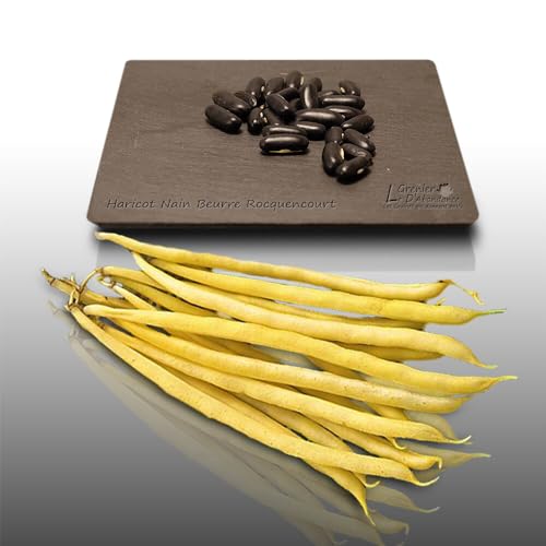 75 grammes à semer - Le Grenier d'Abondance - HARICOT Beurre Rocquencourt - Phaseolus vulgaris