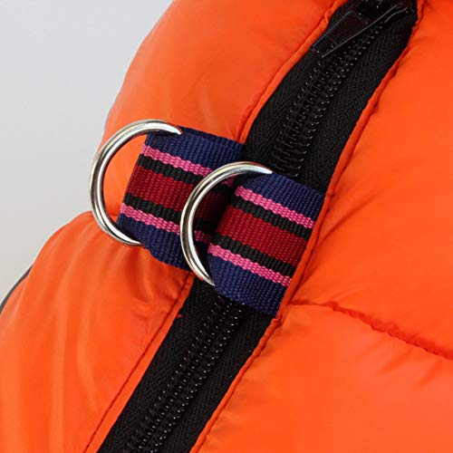 Vestiti invernali per cani da compagnia per cani