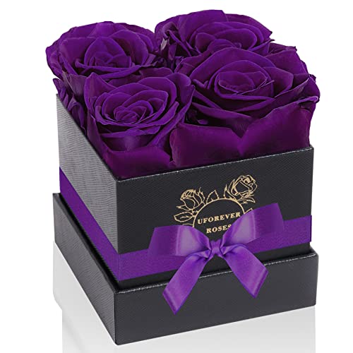 UFOREVER ROSES 4-Piece Preserved Roses in a Box, Preserved Flowers, Roses Gift for Her, Purple