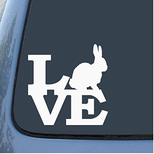 Amazon.co.jp: Love Love Love Rabbit usagi 💎 Rabbit Bunny Bunny